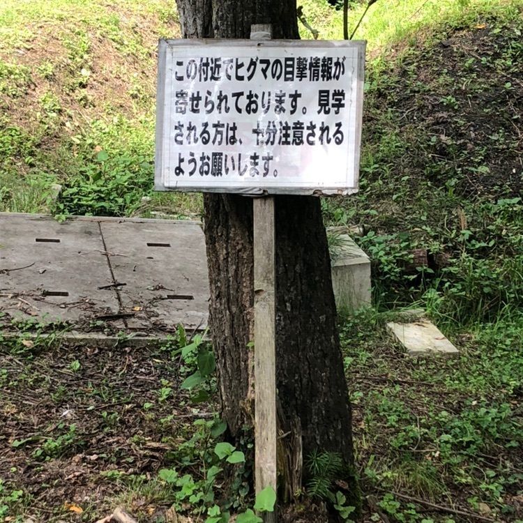 kazu&kinakoさんが投稿した画像の画像