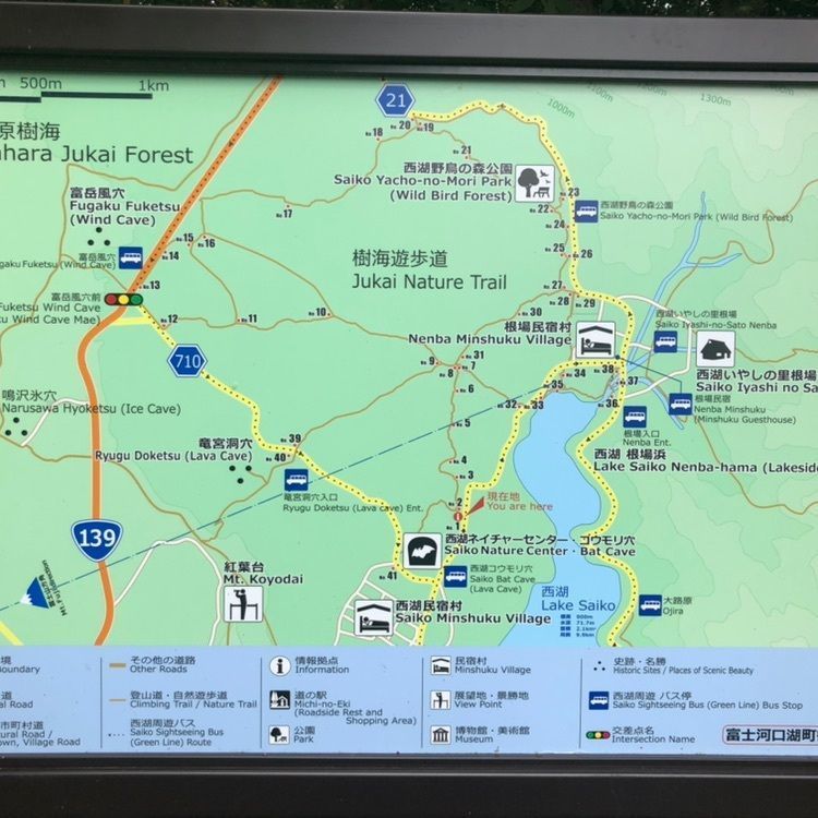 タッキーさんが投稿した青木ケ原樹海に関する口コミの画像