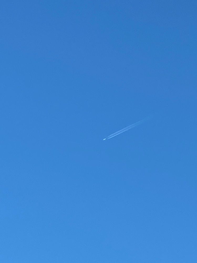 Rhapsodyさんが投稿した福岡県立総合プールに関する口コミの画像