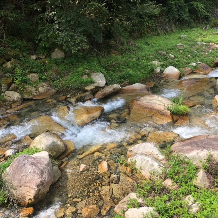 タッキーさんが投稿した石水庭旅館　笛吹川に関する口コミの画像