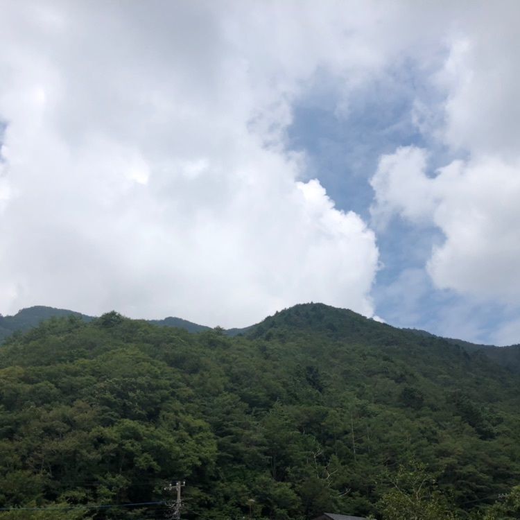 タッキーさんが投稿した精進の大杉に関する口コミの画像