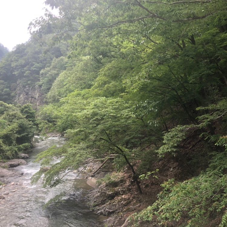 タッキーさんが投稿した千波滝に関する口コミの画像