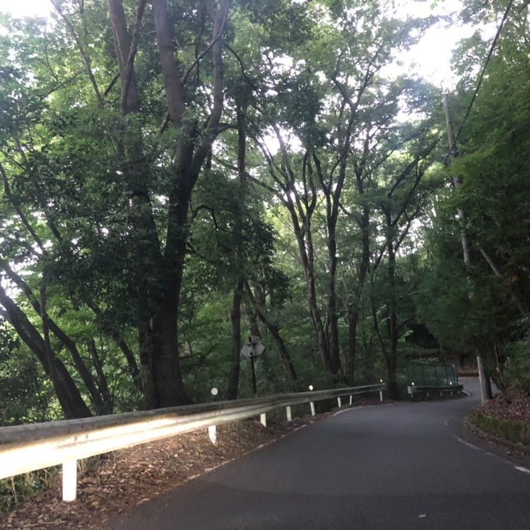 タッキーさんが投稿したさがみ湖に関する口コミの画像