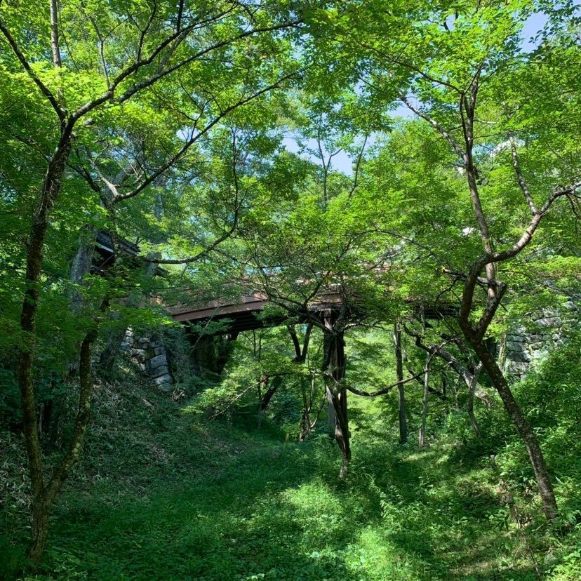 しゃんぽんさんが投稿した高遠城址公園問屋門に関する口コミの画像