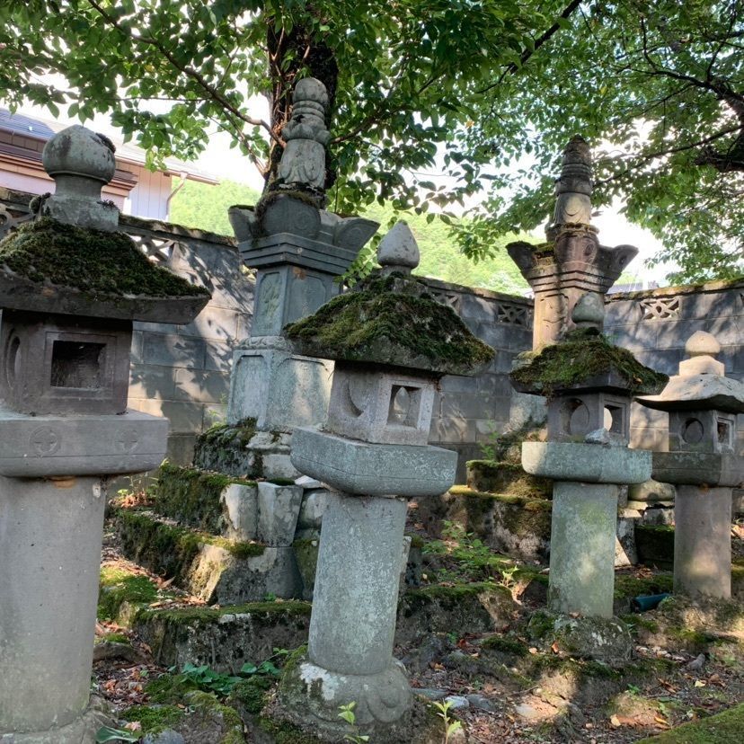 しゃんぽんさんが投稿した満光寺に関する口コミの画像