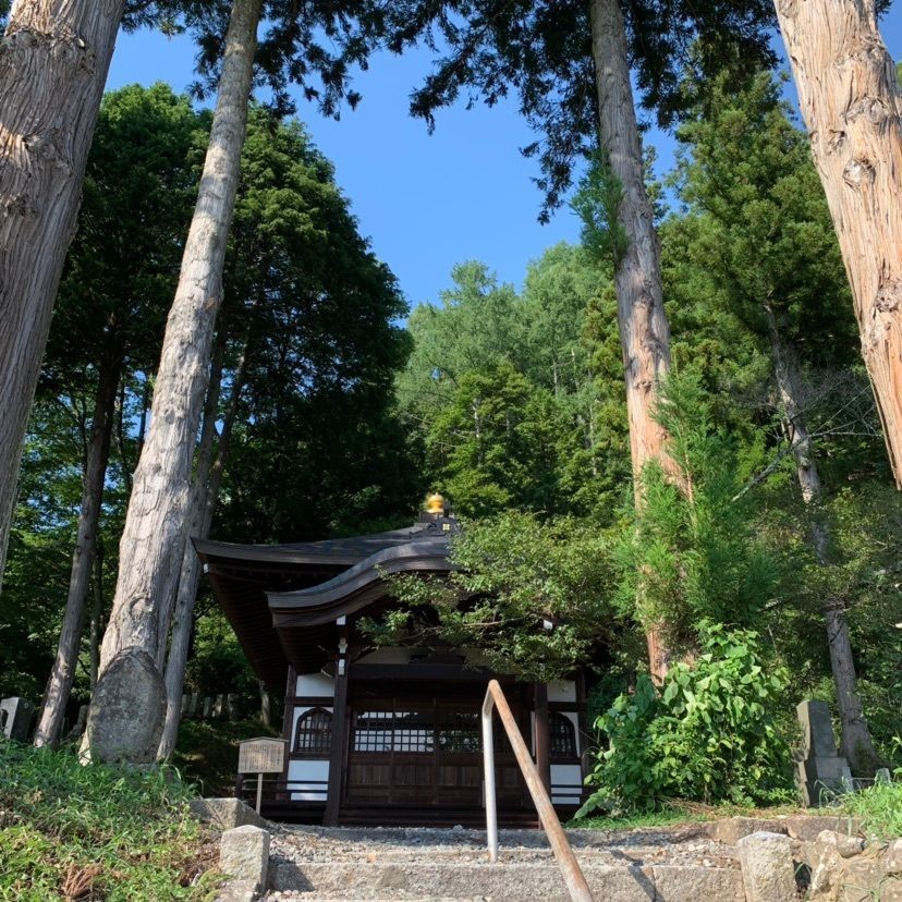 しゃんぽんさんが投稿した蓮華寺に関する口コミの画像