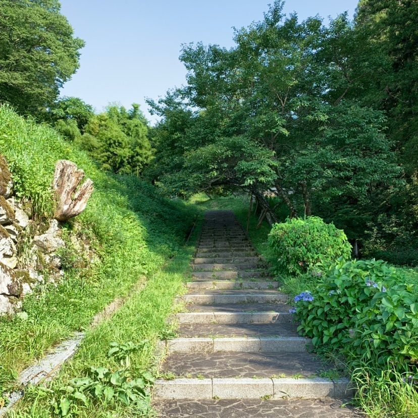 しゃんぽんさんが投稿した樹林寺に関する口コミの画像