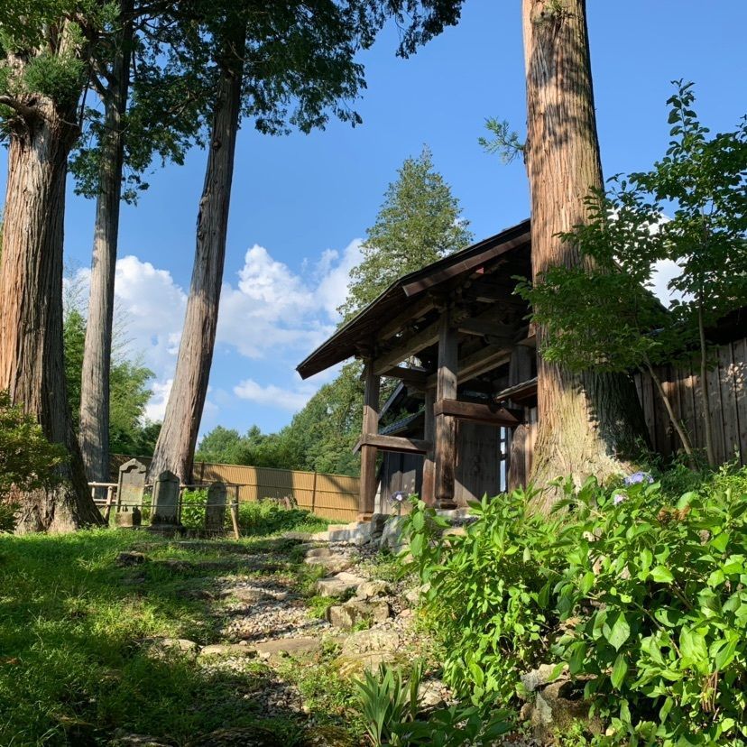 しゃんぽんさんが投稿した樹林寺に関する口コミの画像