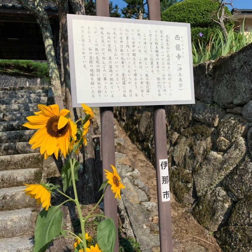しゃんぽんさんが投稿した西龍寺に関する口コミの画像