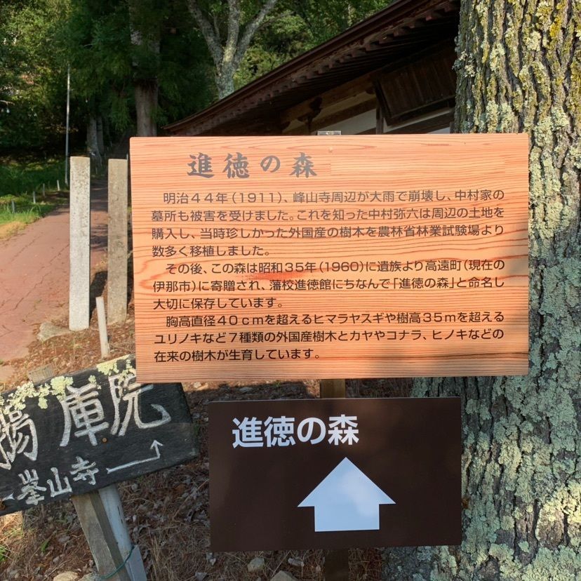 しゃんぽんさんが投稿した峰山寺に関する口コミの画像
