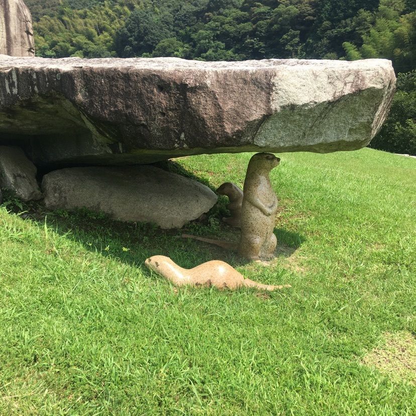 mikakoさんが投稿した津野町かわうそ自然公園に関する口コミの画像