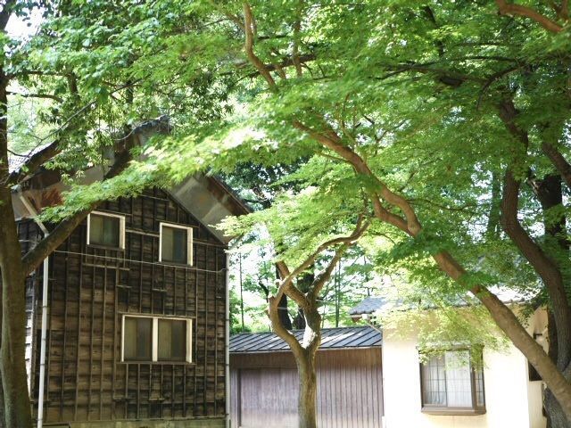 teruteru  sanpoさんが投稿した旧渋沢邸「中の家」に関する口コミの画像