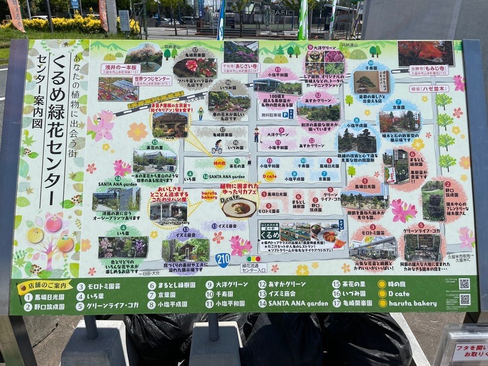 surumeさんが投稿した道の駅 くるめに関する口コミの画像