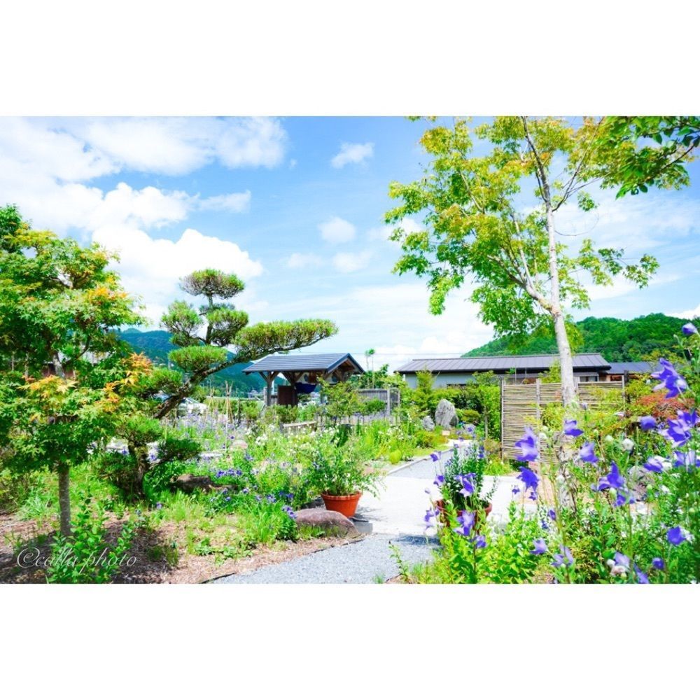 urban_garden_243aさんが投稿したききょうの里に関する口コミの画像