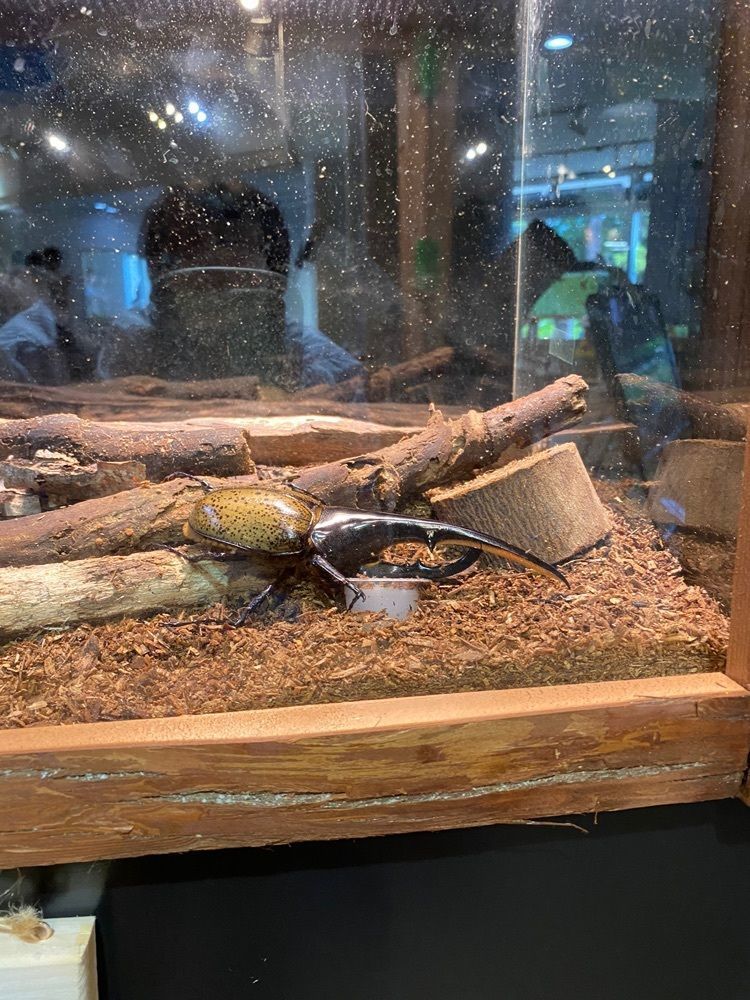 みそらさんが投稿したアクアマリンいなわしろカワセミ水族館 ミュージアムショップに関する口コミの画像