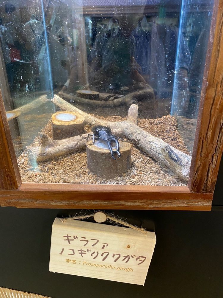 みそらさんが投稿したアクアマリンいなわしろカワセミ水族館 ミュージアムショップに関する口コミの画像