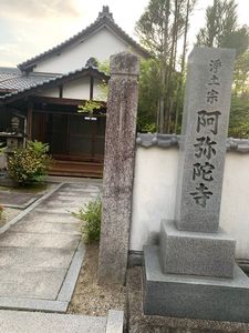 阿弥陀寺木造薬師如来立像 2枚目