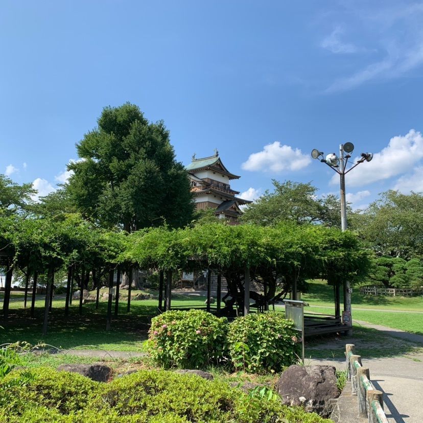 しゃんぽんさんが投稿した高島公園に関する口コミの画像