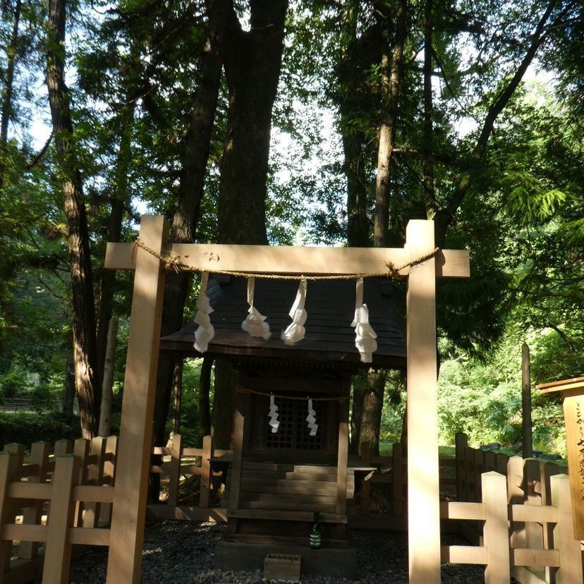 しゃんぽんさんが投稿した諏訪大社下社春宮浮島社に関する口コミの画像