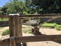 fumiさんが投稿した横浜市立金沢動物園に関する口コミの画像