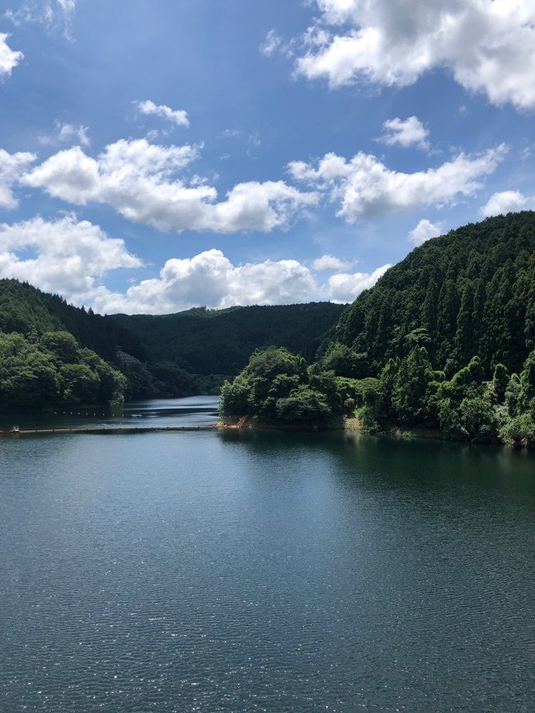 レティシアさんが投稿した青蓮寺湖に関する口コミの画像