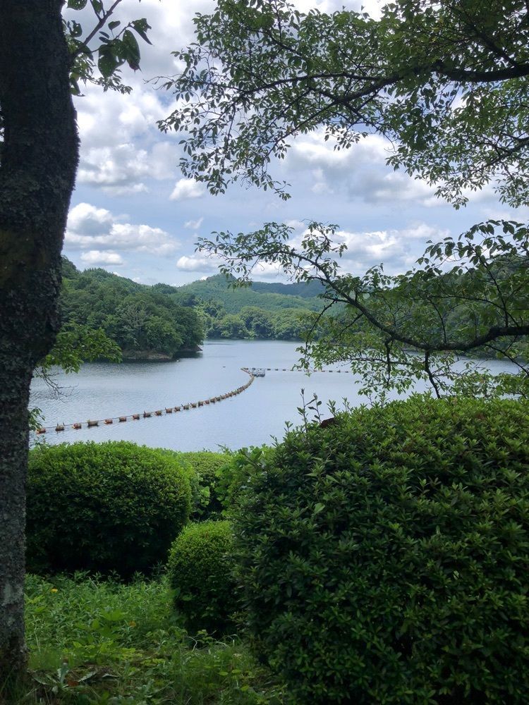 レティシアさんが投稿した青蓮寺湖に関する口コミの画像