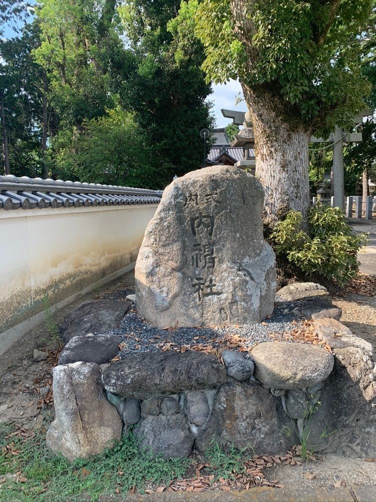 blossom&C7さんが投稿した八幡市のひまわり畑に関する口コミの画像