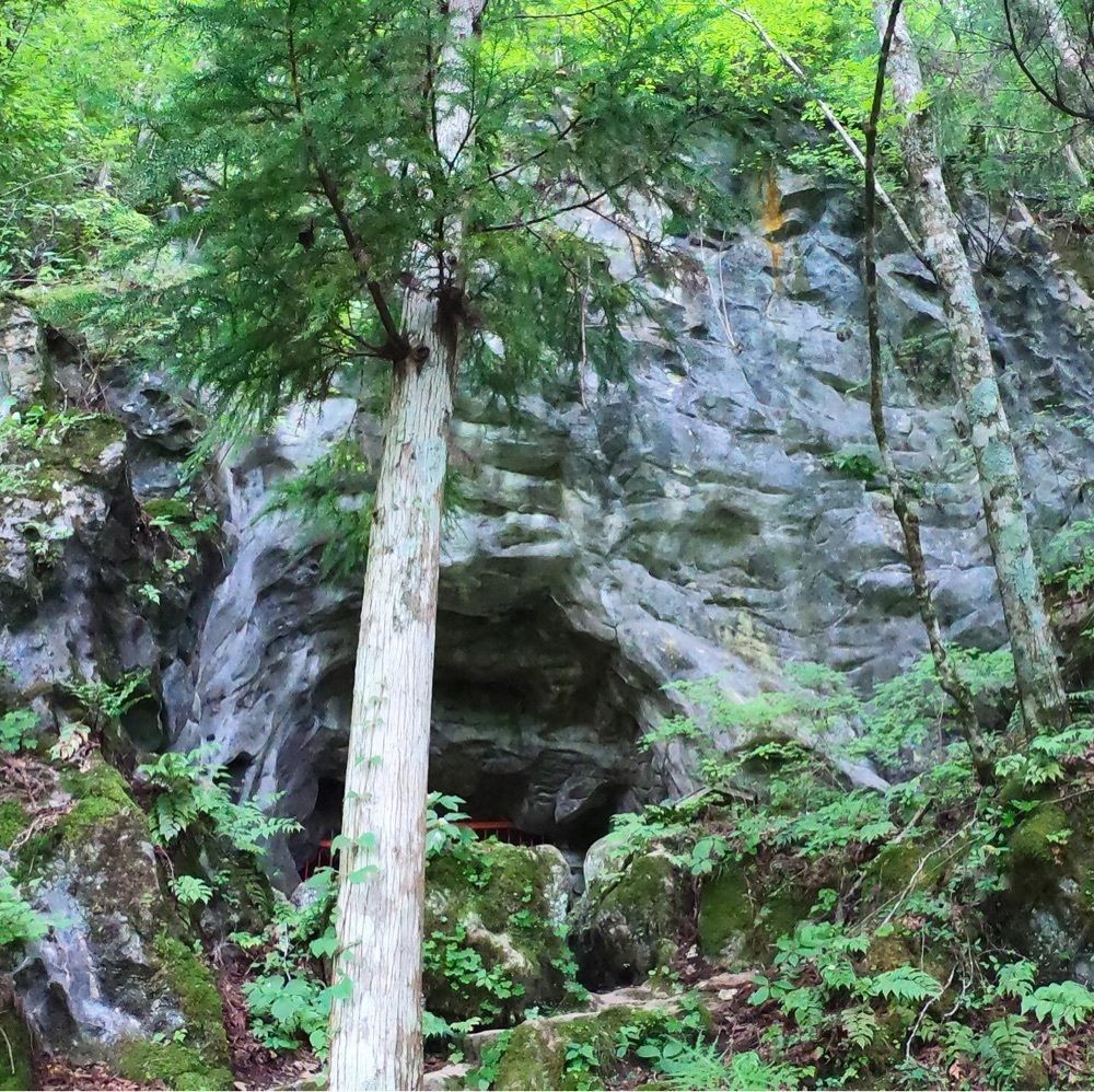 ruujunさんが投稿した五代松鍾乳洞に関する口コミの画像