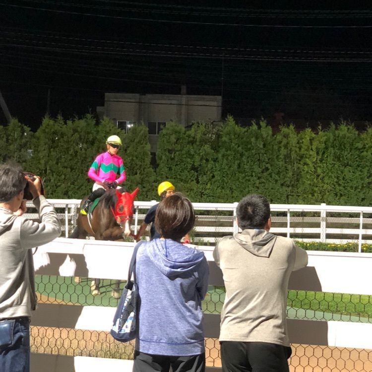 calico catさんが投稿した門別競馬場に関する口コミの画像