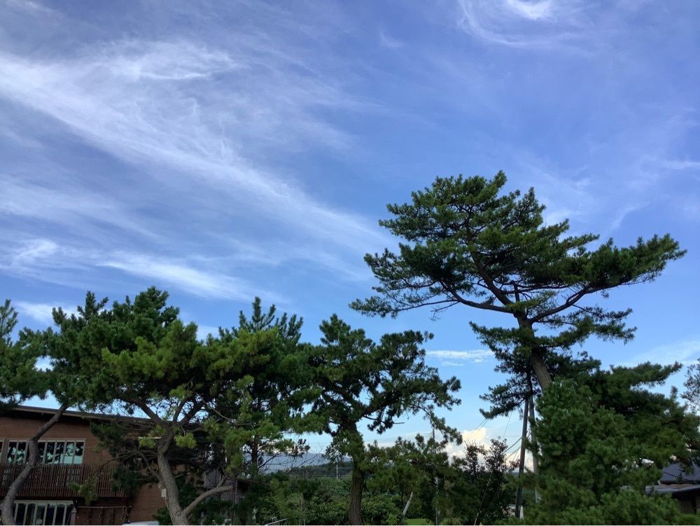 festive_garden_7486さんが投稿したセブンイレブン 荒尾蔵満に関する口コミの画像