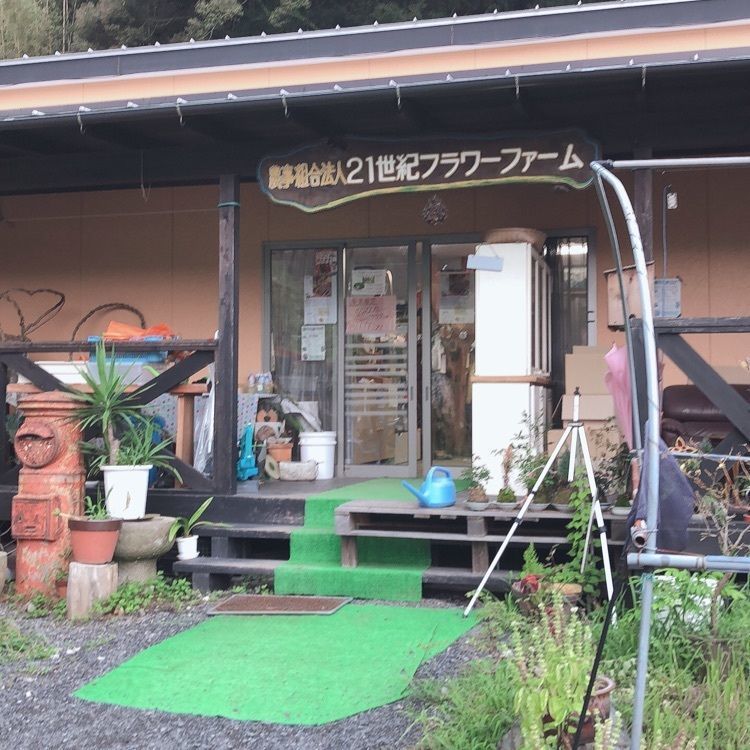 mimiさんが投稿した画像の画像