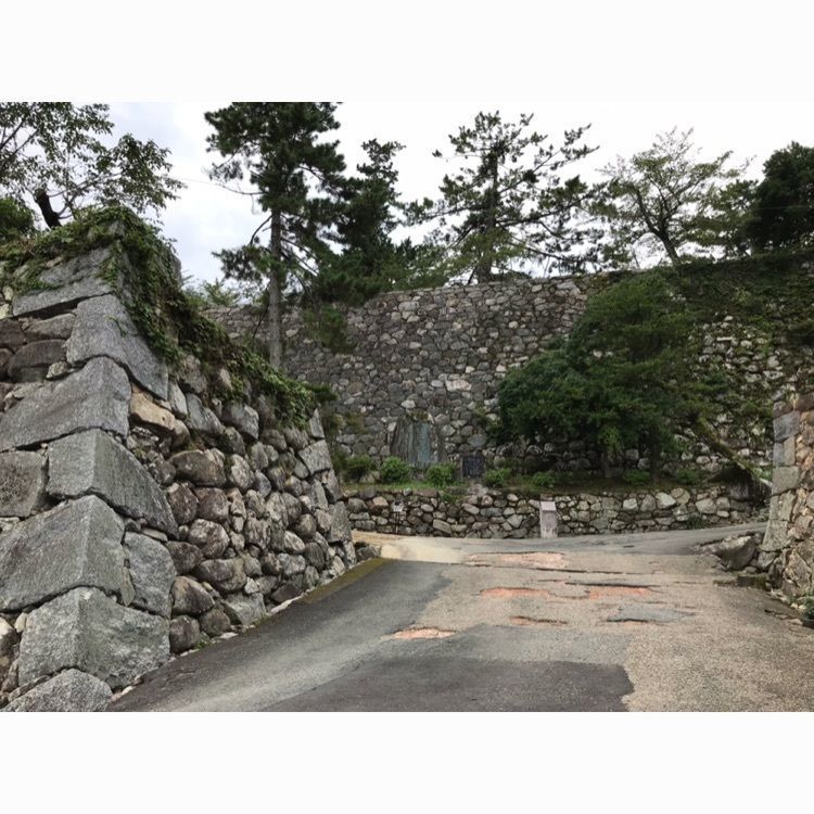 めがゆさんが投稿した松坂城跡（松阪公園）に関する口コミの画像