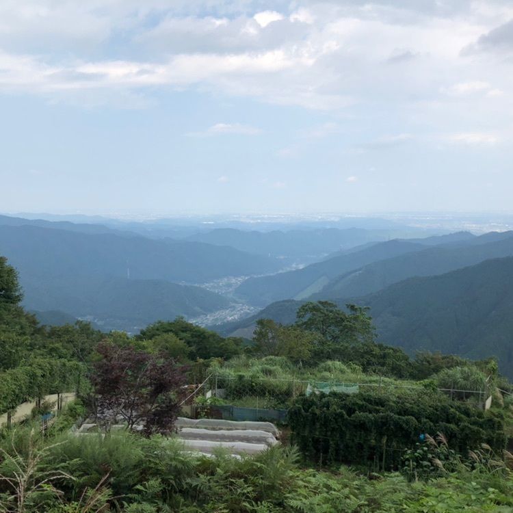 モコさんが投稿した御岳ビジターセンターに関する口コミの画像