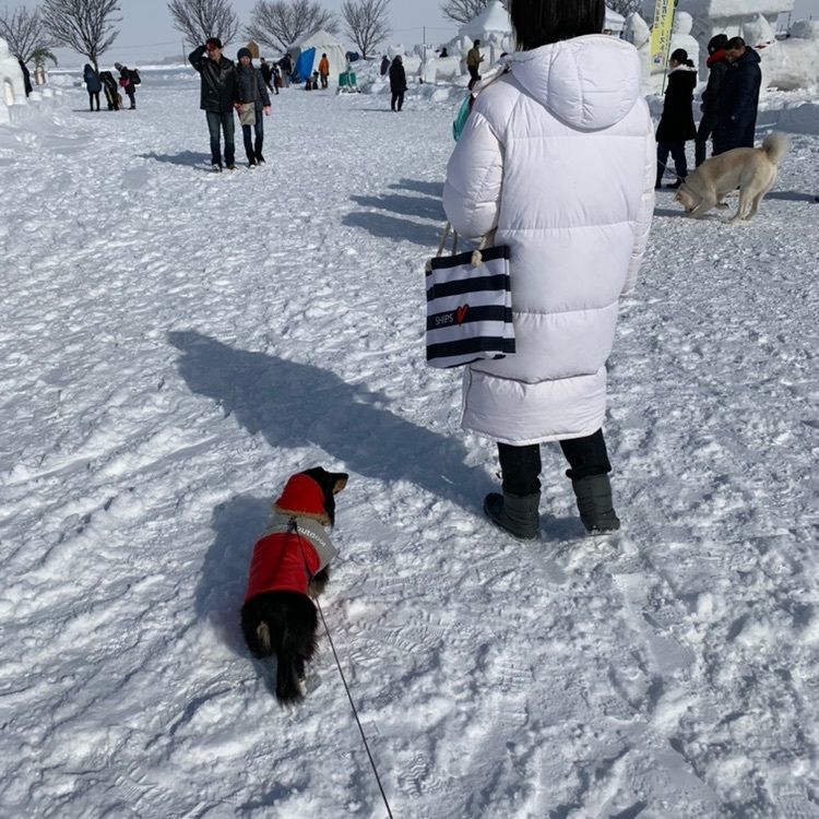 kevizoo108さんが投稿した横手公園に関する口コミの画像