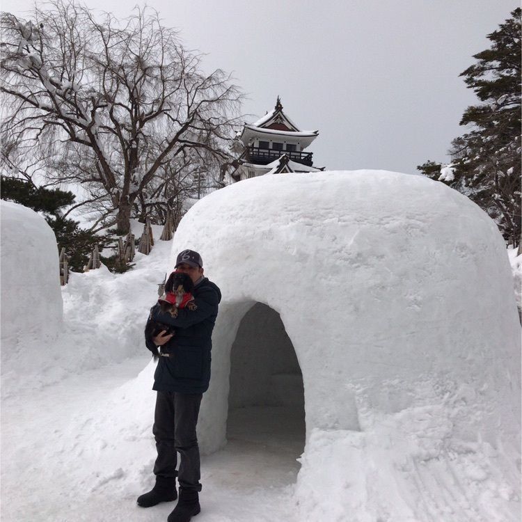 kevizoo108さんが投稿した横手公園に関する口コミの画像