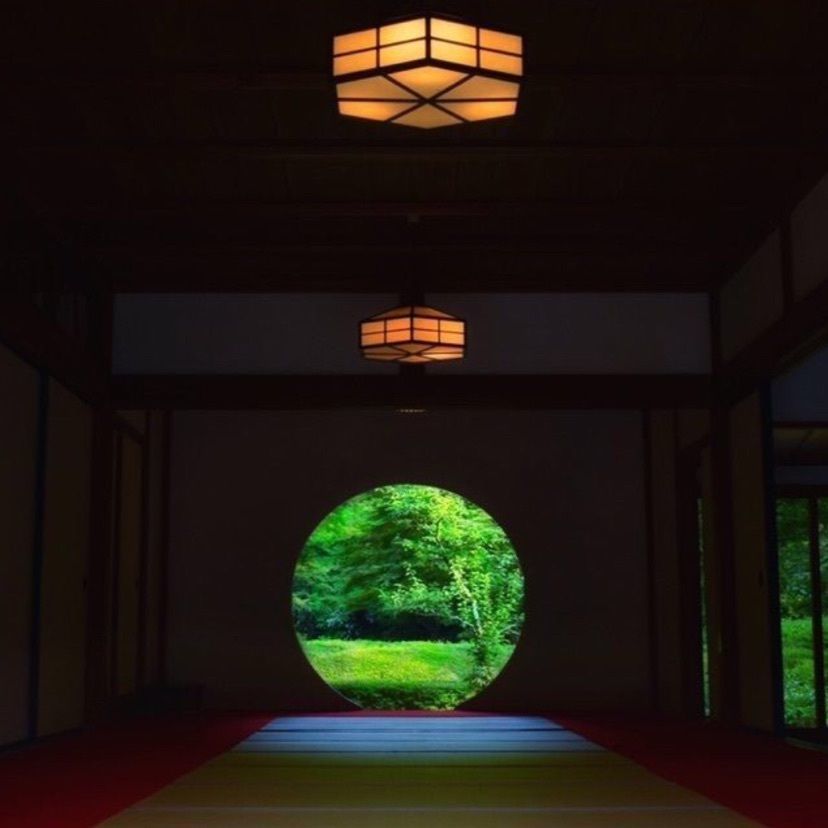 aumo編集部さんが投稿した明月院（あじさい寺）に関する口コミの画像