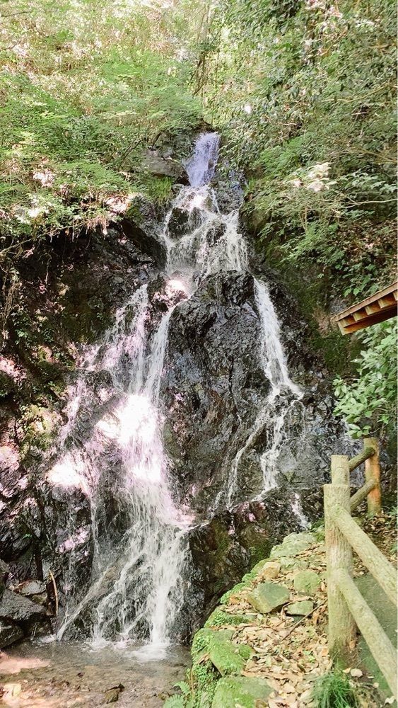じゅんじゅんさんが投稿したなかよしこよしに関する口コミの画像