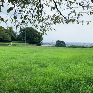 興国寺城跡