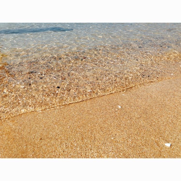 エリナさんが投稿した大浜海水浴場（兵庫県洲本市）に関する口コミの画像