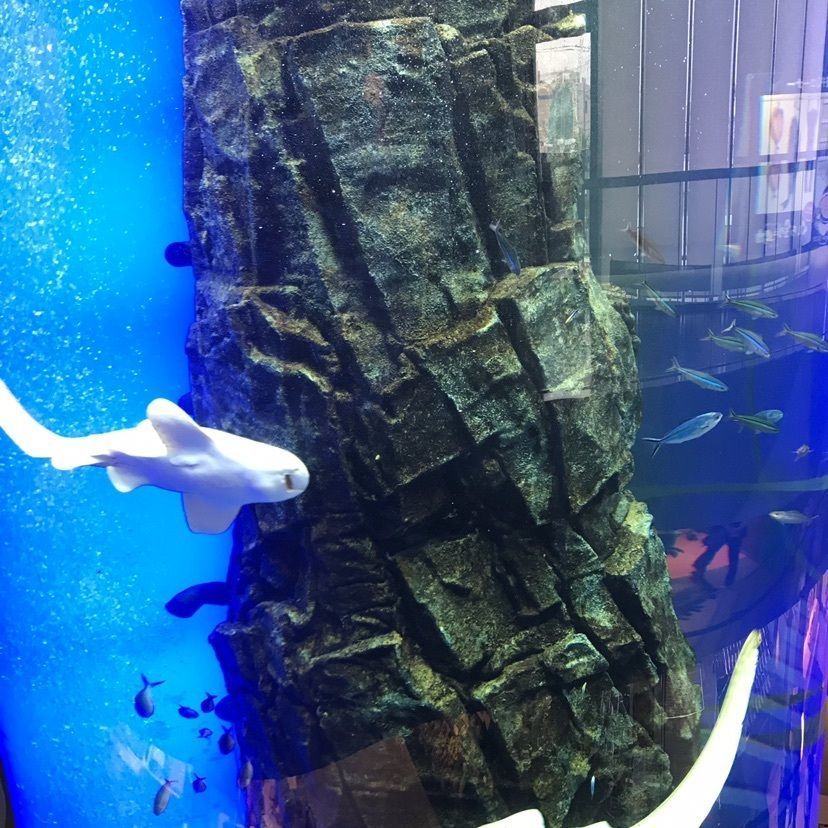 ドンペリニョンさんが投稿した釧之助本店に関する口コミの画像