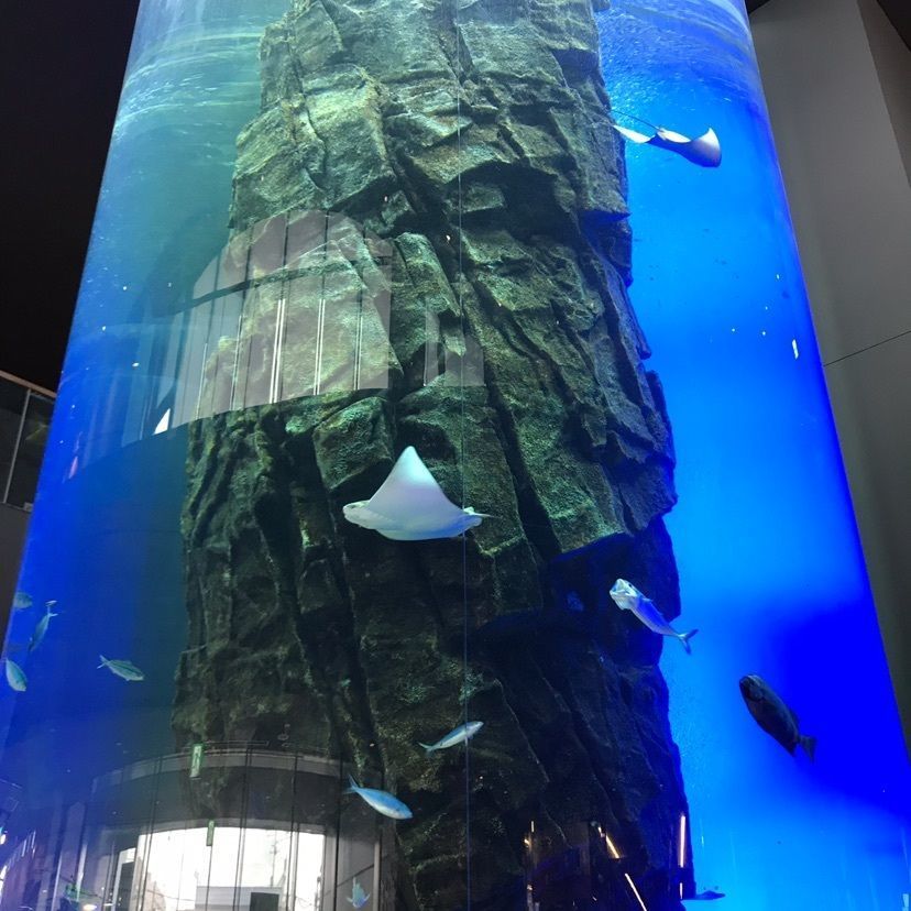 ドンペリニョンさんが投稿した釧之助本店に関する口コミの画像