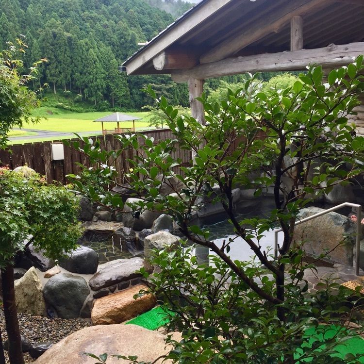 酔TAROUさんが投稿した阿波温泉 もえぎの里 やすらぎの館（あば温泉）に関する口コミの画像