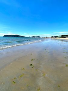 葡萄の樹～ ニコビーチカフェ&ブリオッシュ（葡萄の樹～ Nico Beach Cafe'&Brioche） 6枚目