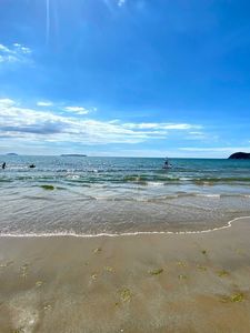 葡萄の樹～ ニコビーチカフェ&ブリオッシュ（葡萄の樹～ Nico Beach Cafe'&Brioche） 7枚目