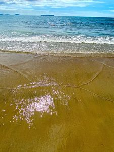 葡萄の樹～ ニコビーチカフェ&ブリオッシュ（葡萄の樹～ Nico Beach Cafe'&Brioche） 8枚目