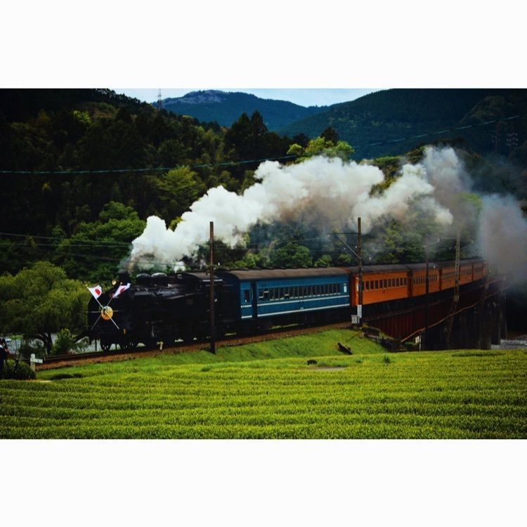 (( 'ω'  三  'ω' ))さんが投稿した川根本町に関する口コミの画像