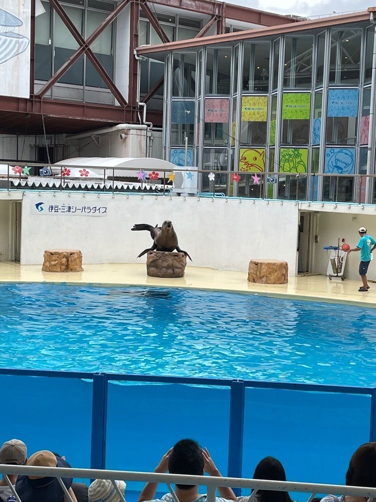 ☆さんが投稿した伊豆・三津シーパラダイスに関する口コミの画像