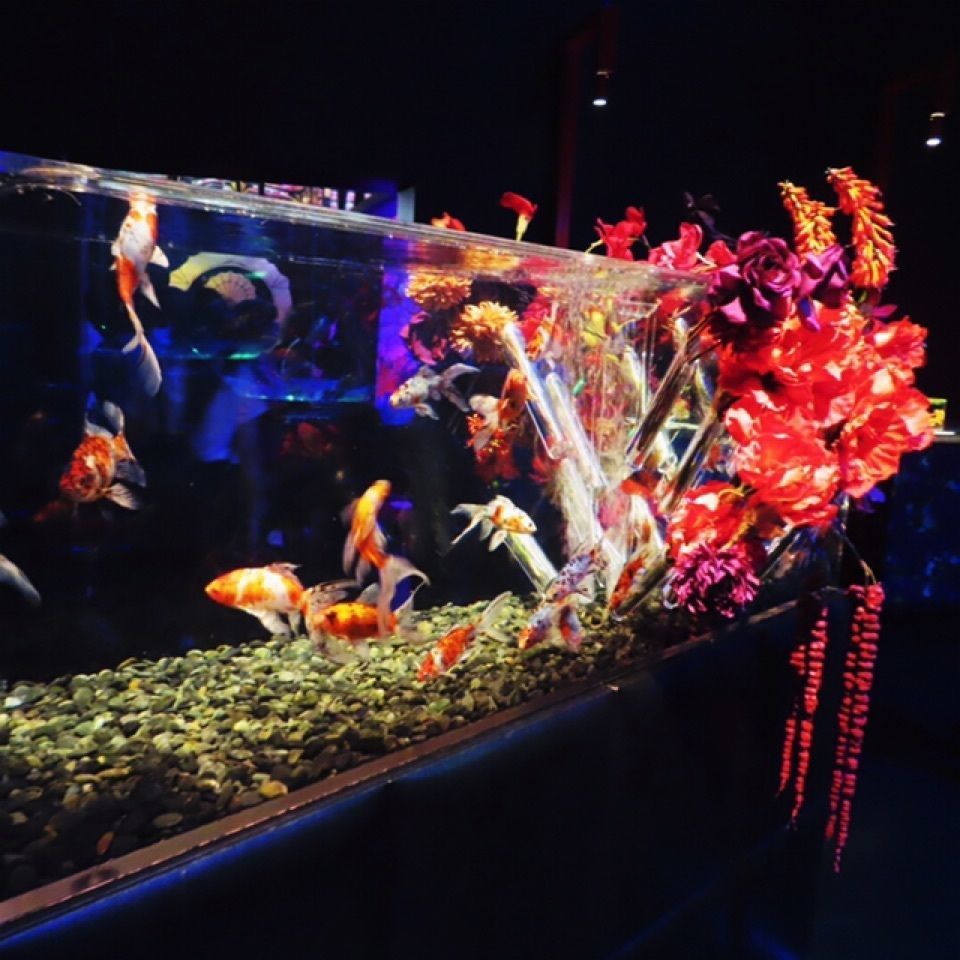 yoshiさんが投稿した画像の画像