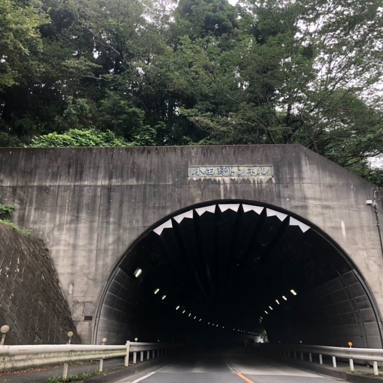タッキーさんが投稿した峠の茶屋に関する口コミの画像