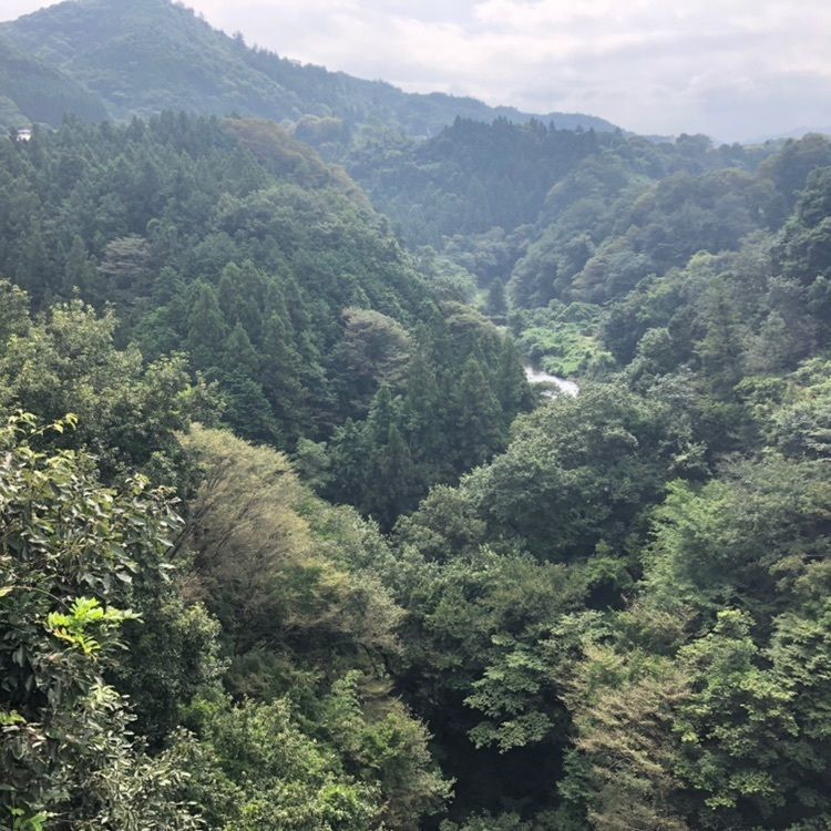 タッキーさんが投稿した上野原市に関する口コミの画像